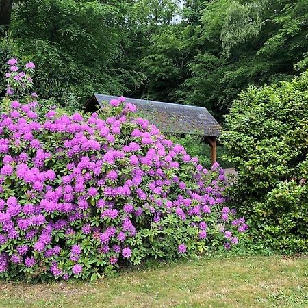"La Homerie" Chaumiere En Pleine Nature Savigny-en-Sancerre Exterior photo