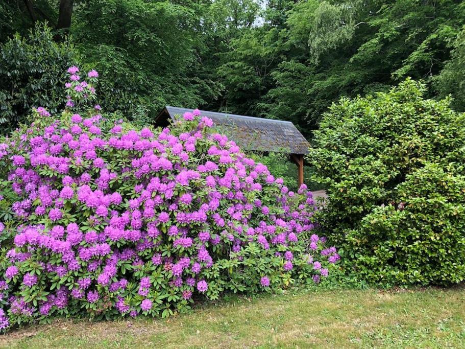 "La Homerie" Chaumiere En Pleine Nature Savigny-en-Sancerre Exterior photo